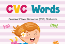 كتيب تعليم الاطفال قراءة الكلمات باللغة الانجليزية مناسب للحلقة الاولى والثانية