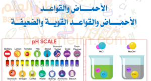 ملخص محاضرة عن درس الاحماض والقواعد القوية والضعيفة لمادة الكيمياء للصف الثاني عشر الفصل الدراسي الاول المنهج العماني