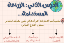 ملخص وشرح درس الزراعة المستدامة لمادة الجغرافيا للصف الحادي عشر الفصل الدراسي الاول المنهج العماني