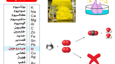 ملخص درس جهود الاختزال القياسية لمادة الكيمياء للصف الثاني عشر الفصل الدراسي الاول المنهج العماني